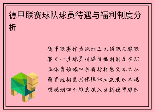 德甲联赛球队球员待遇与福利制度分析